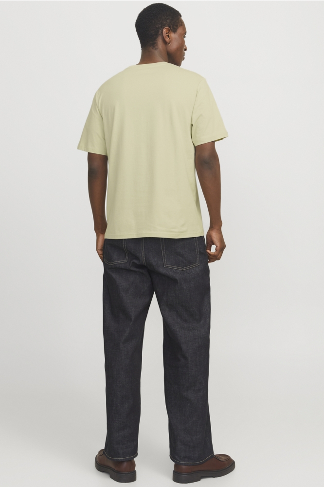 JORVESTERBRO TEE SS CREW NECK NOOS 12240121 Celadon Tint